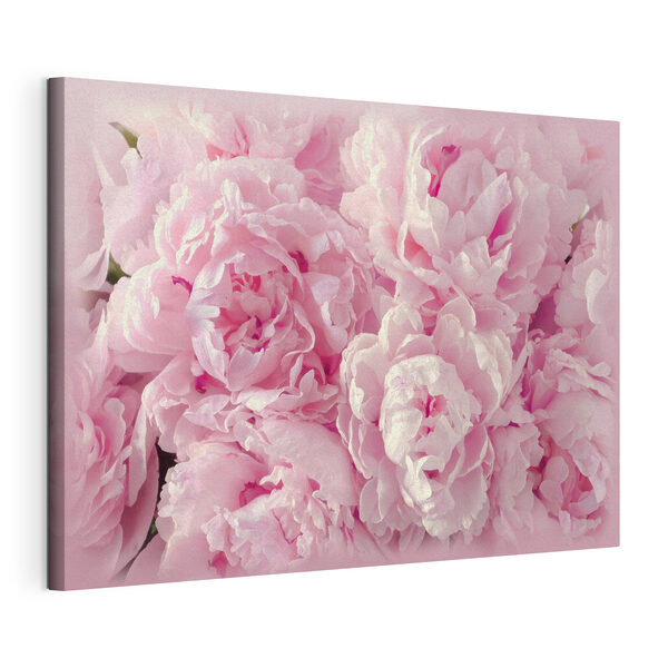 Eine Gruppe von rosa Blumen Wandbilder Eine Gruppe von rosa Blumen