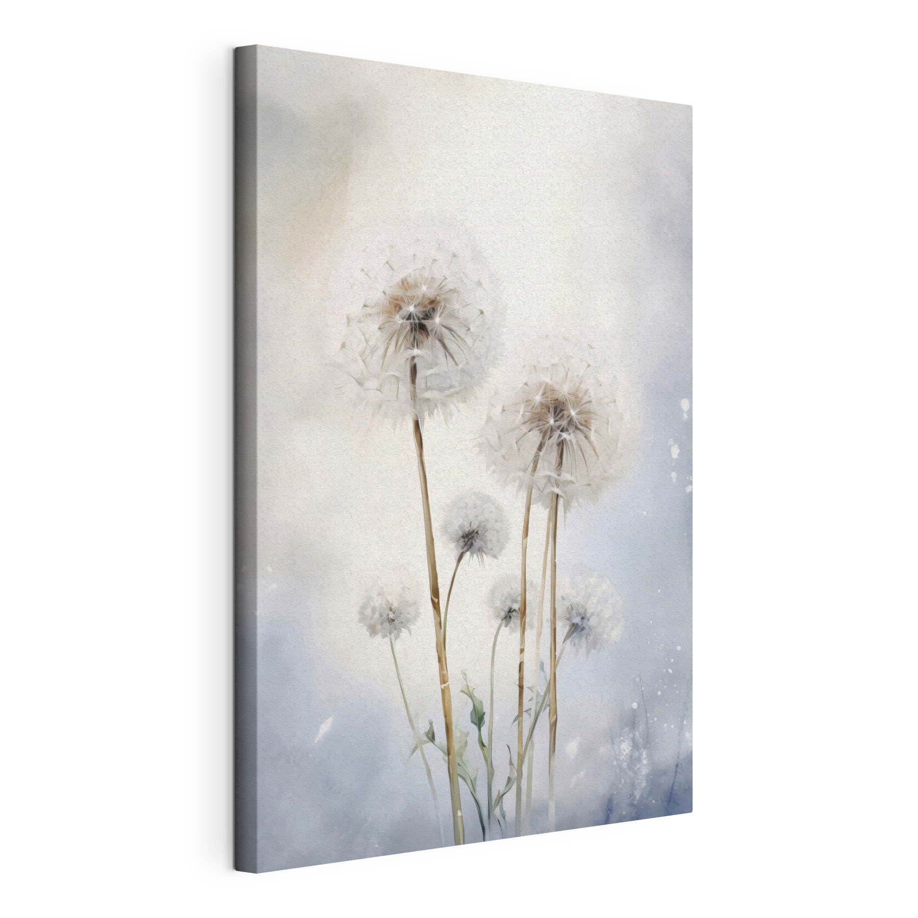 A group of dandelions in a field