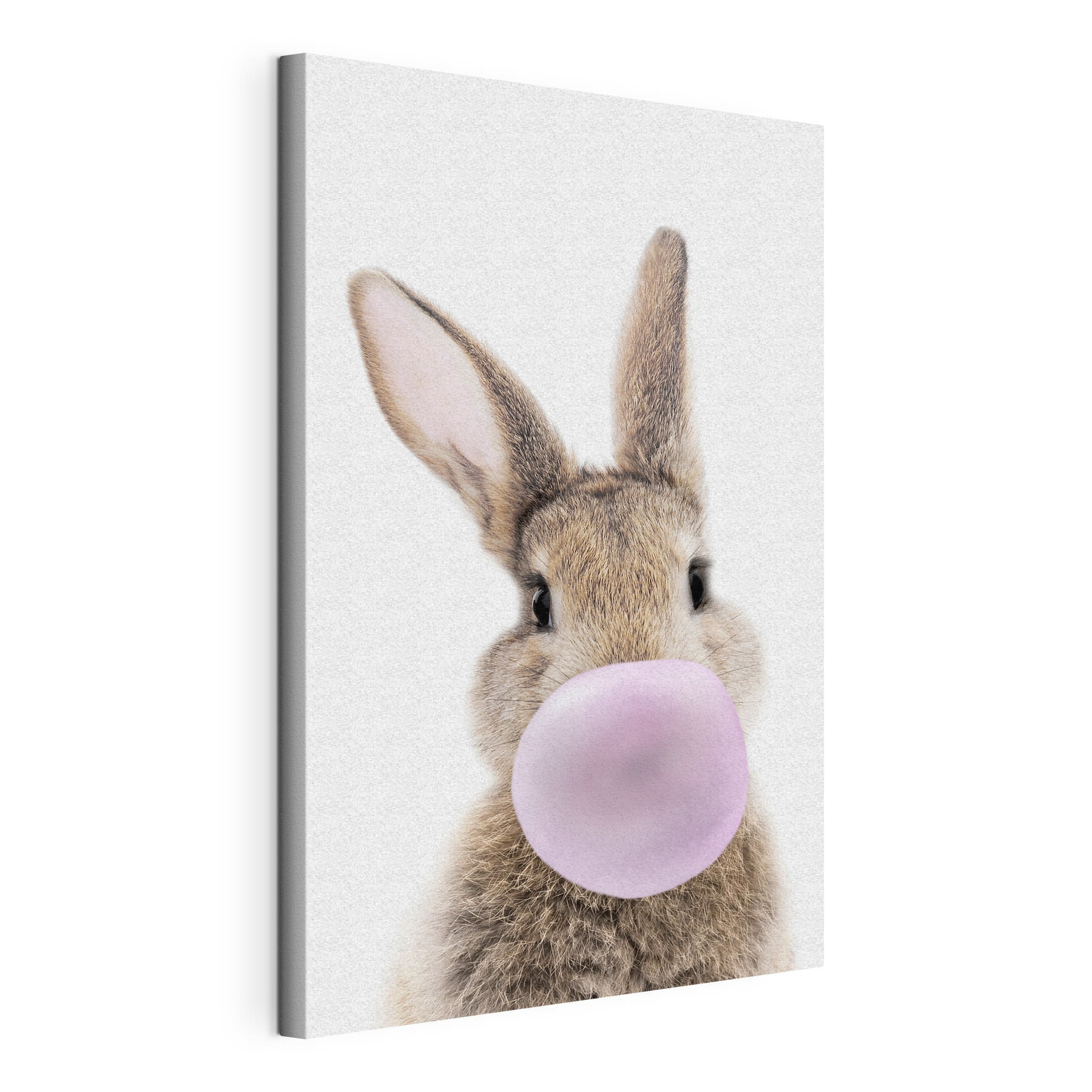A rabbit with a bubble gum A rabbit with a bubble gum