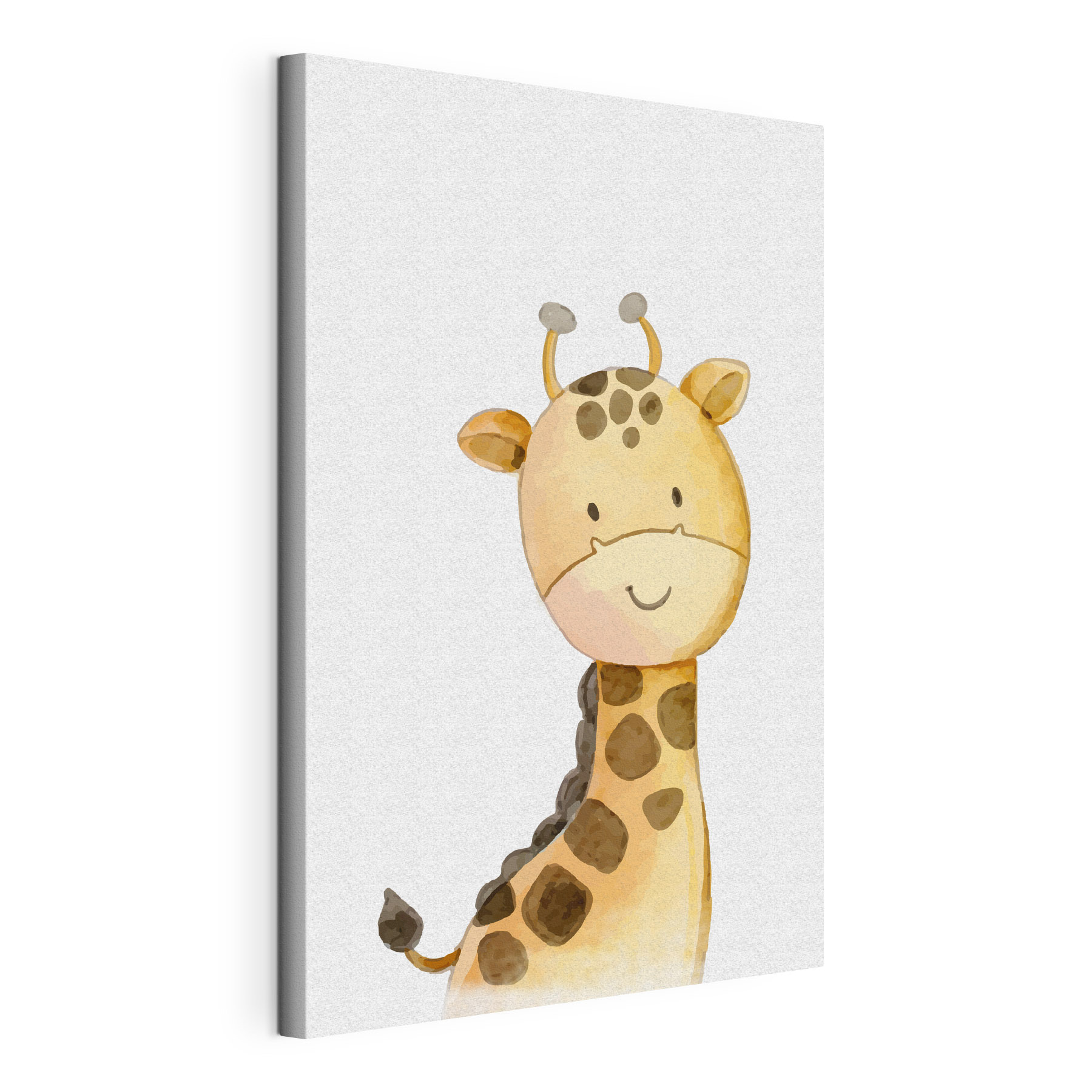 A giraffe with a white background A giraffe with a white background