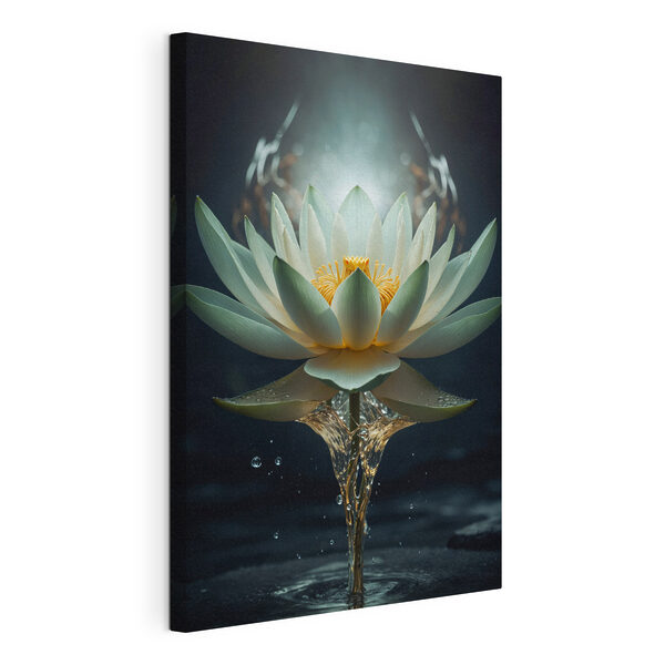 Wandbilder Wandbilder Eine weiße Blume mit gelber Mitte und herausspritzendem Wasser (Artikelnummer: s38435)