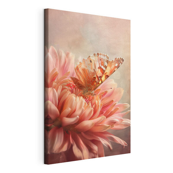 Wandbilder Wandbilder Ein Schmetterling auf einer Blume (Artikelnummer: s39071)
