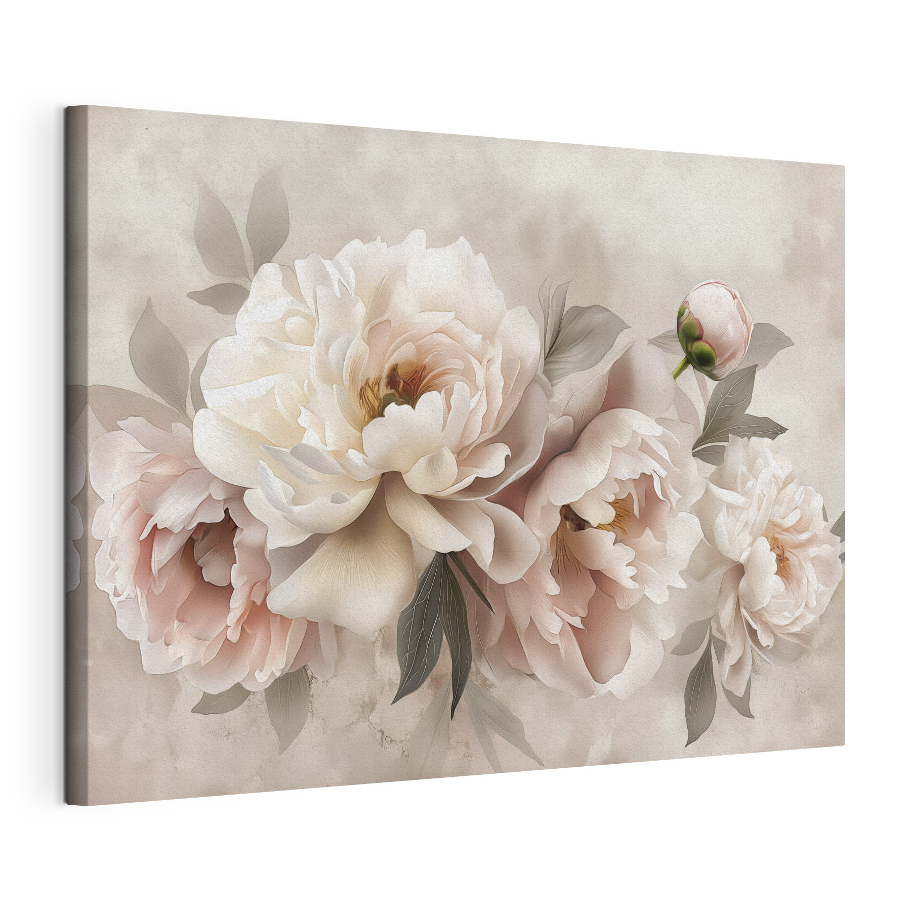 A group of flowers on a white background
