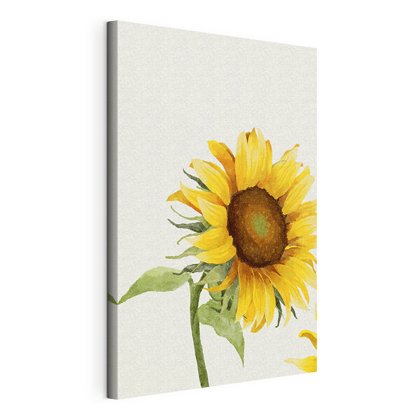 Wandbilder Nahaufnahme einer Sonnenblume (Artikelnummer: s39343) Wandbilder Wandbilder Nahaufnahme einer Sonnenblume (Artikelnummer: s39343)