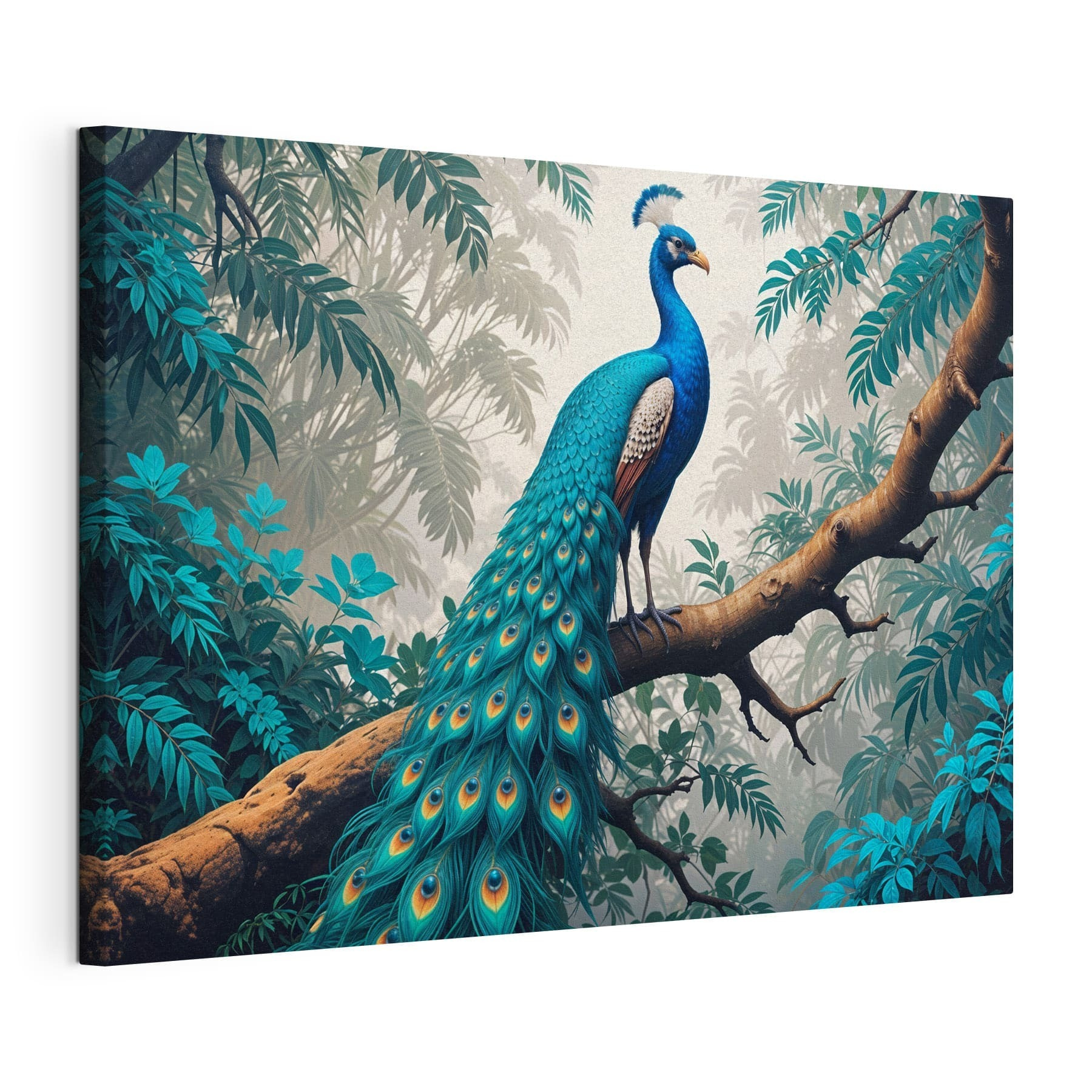 Peacock on a tree branch