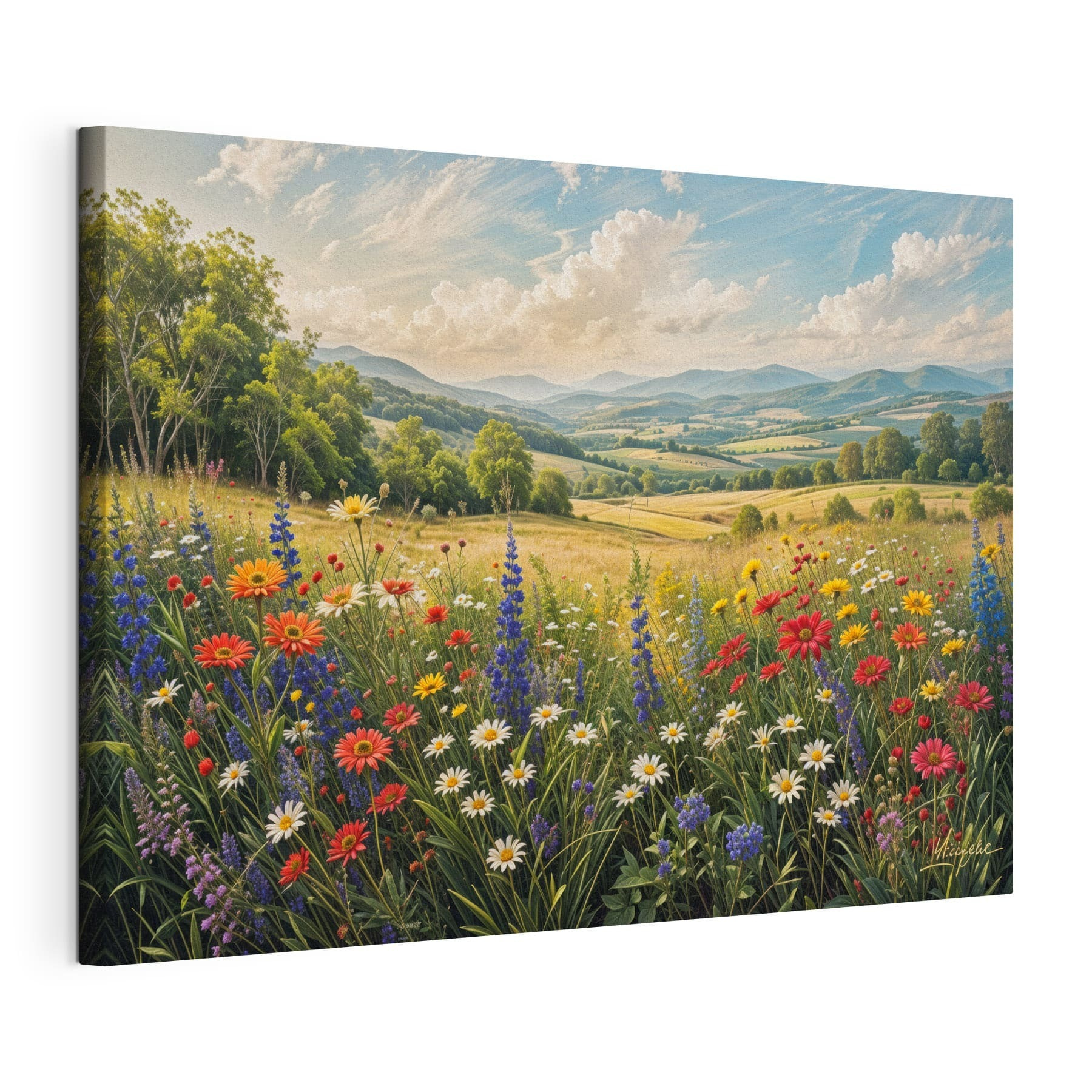 Field of flowers with mountains in the background