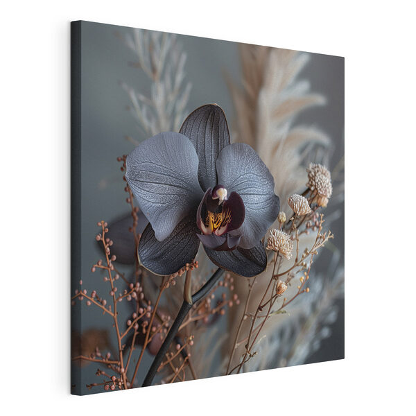 Schwarze Blume mit weißen Blüten Wandbilder Schwarze Blume mit weißen Blüten
