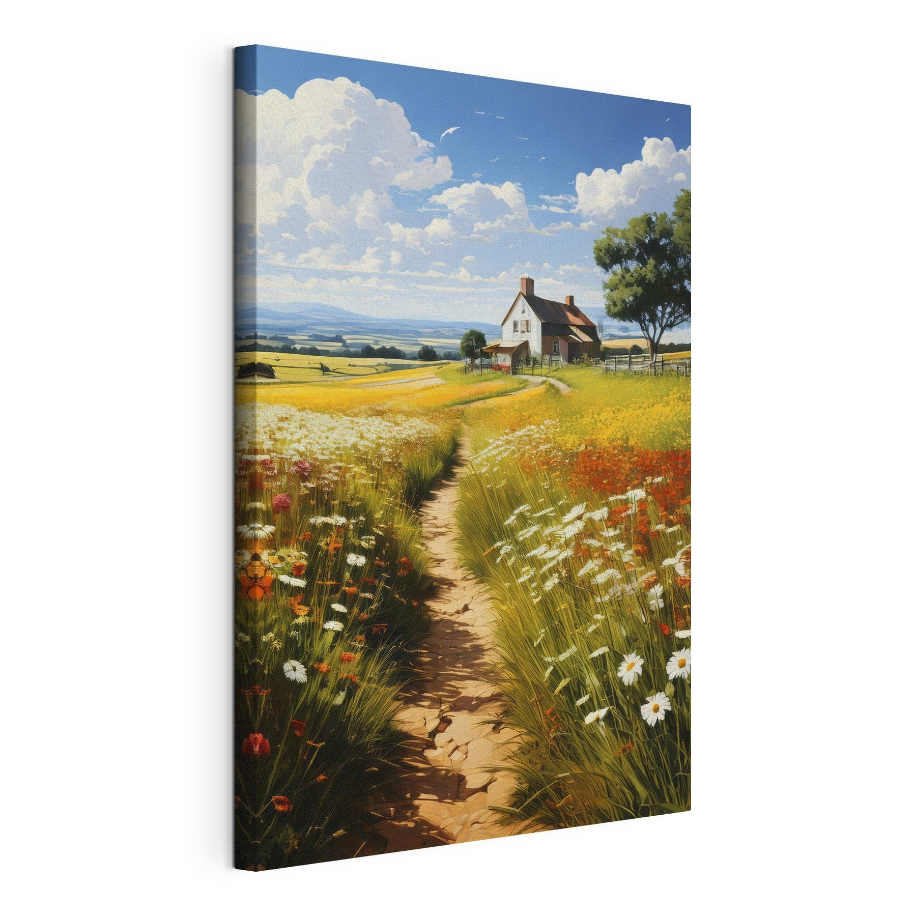 Path through a field of flowers Path through a field of flowers
