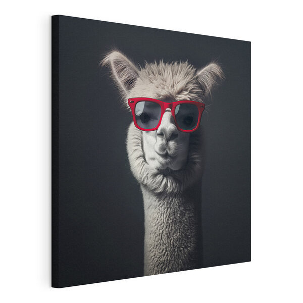 Lama mit roter Sonnenbrille Wandbilder Lama mit roter Sonnenbrille