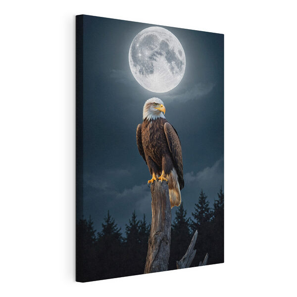 Wandbilder Weißkopfseeadler auf einem Pfahl mit Vollmond im Hintergrund (Artikelnummer: s41043) Wandbilder Wandbilder Weißkopfseeadler auf einem Pfahl mit Vollmond im Hintergrund (Artikelnummer: s41043)