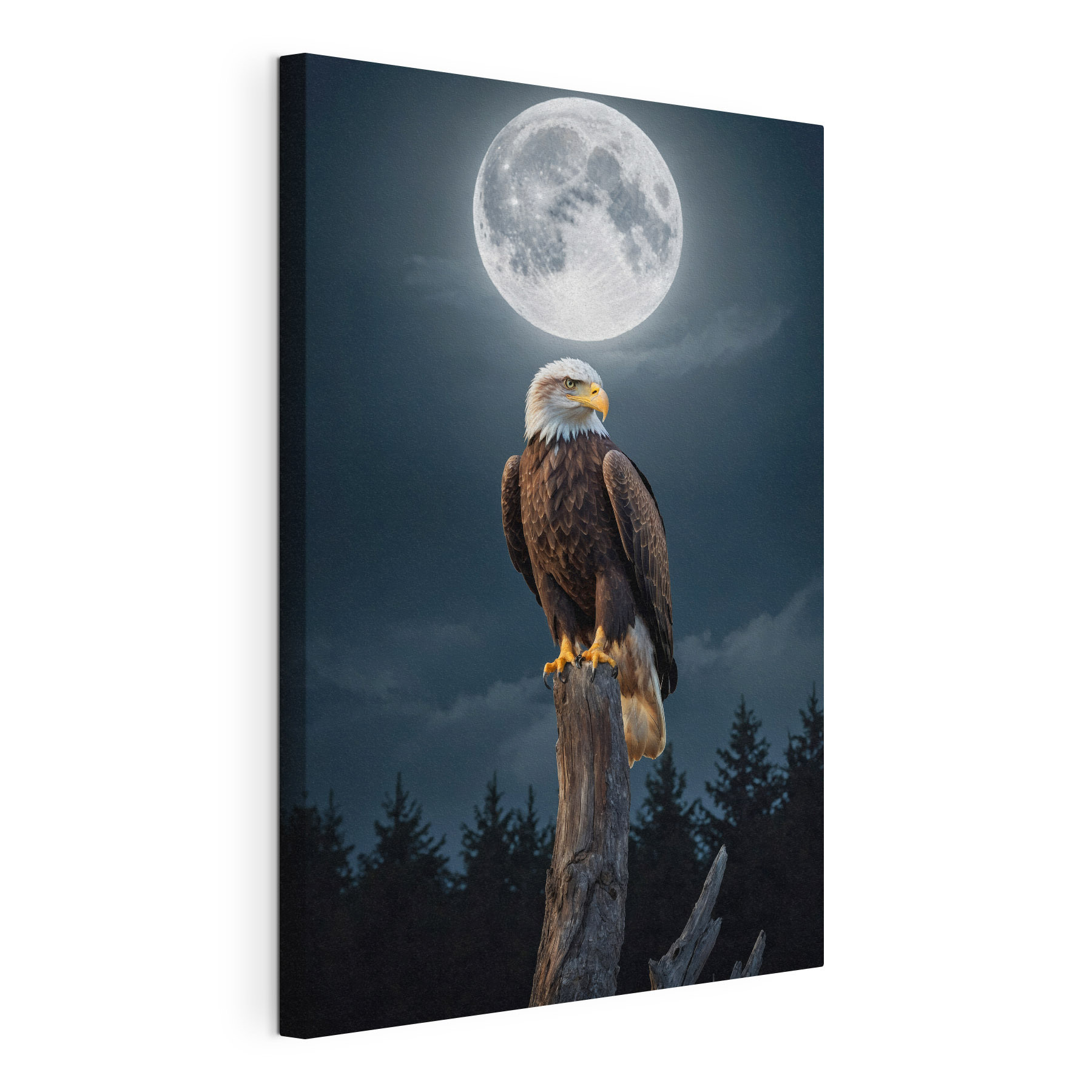 Bald eagle on a post with a full moon in the background Bald eagle on a post with a full moon in the background