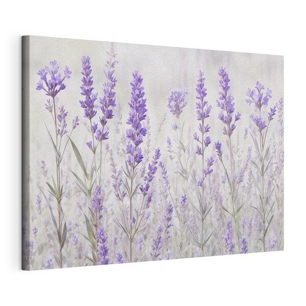 Gruppe violetter Blumen Wandbilder Gruppe violetter Blumen