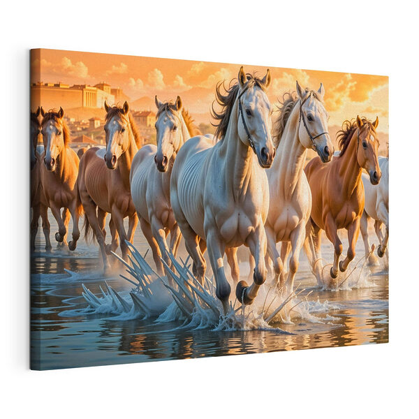 Gruppe von Pferden, die durch Wasser laufen Wandbilder Gruppe von Pferden, die durch Wasser laufen