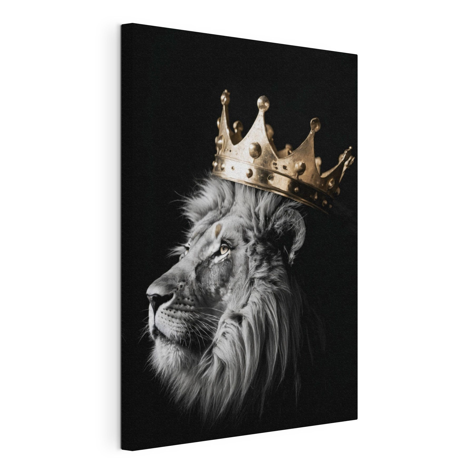 Lion wearing a crown