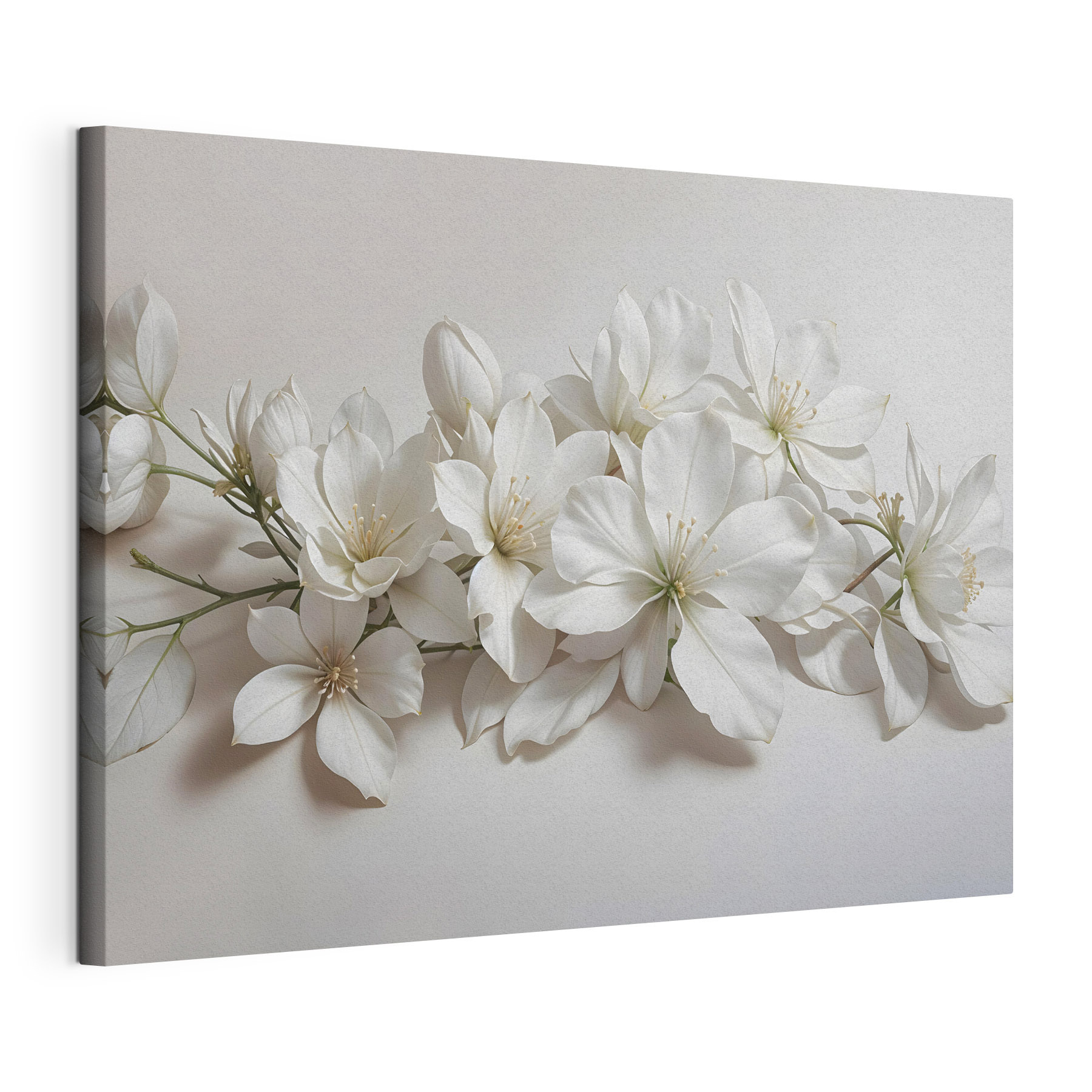 Group of white flowers