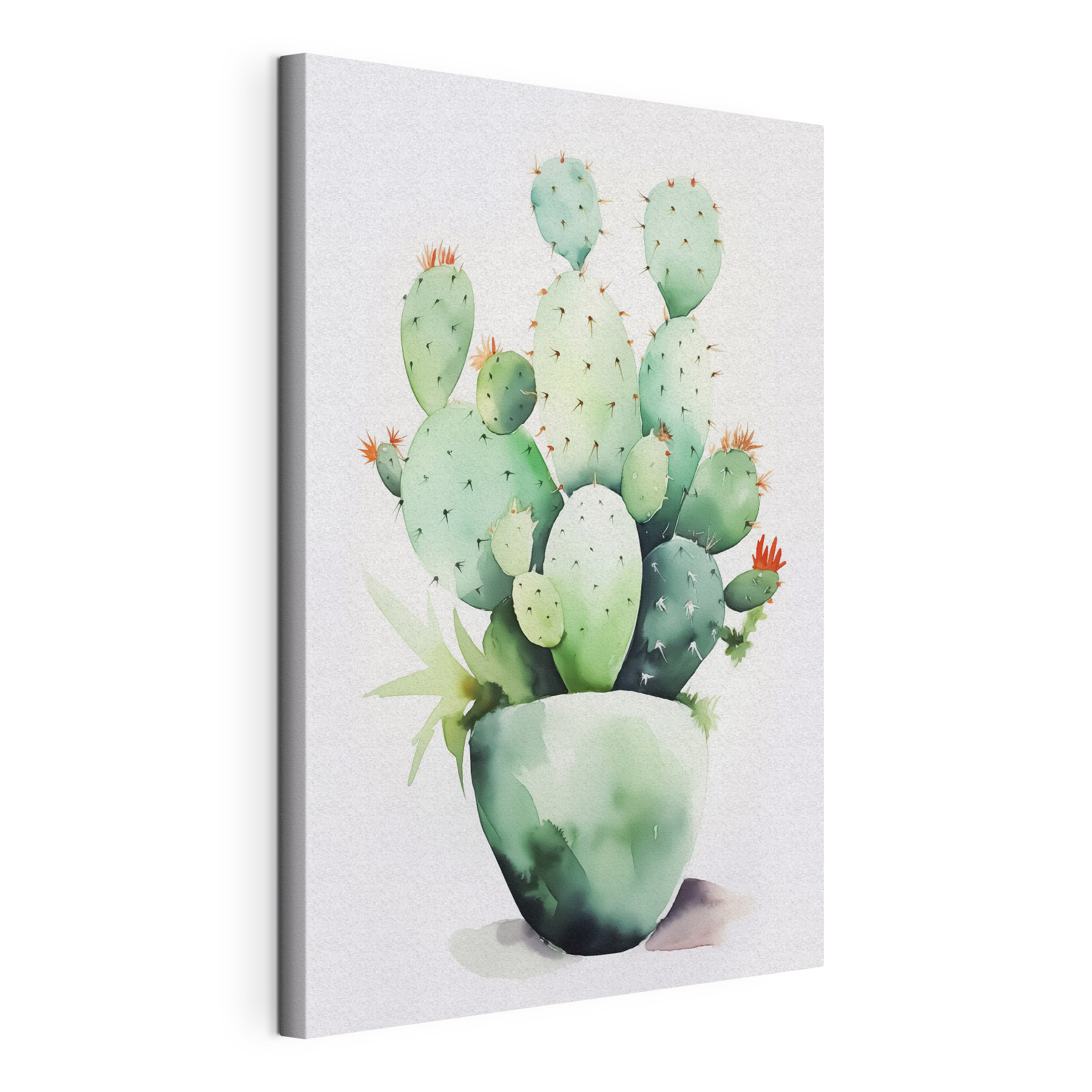 Watercolor of a cactus Watercolor of a cactus