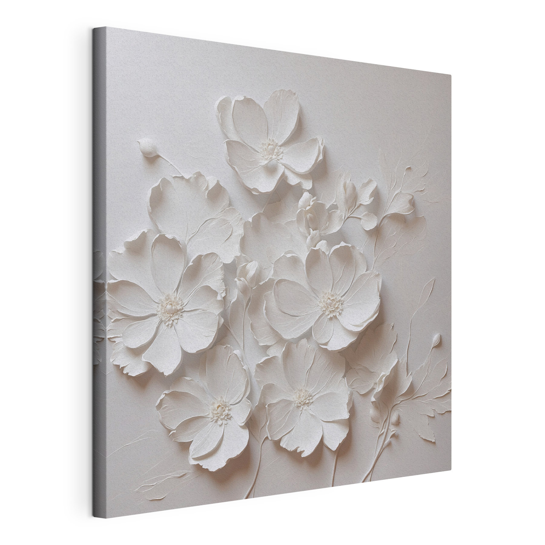 White flower on a white surface