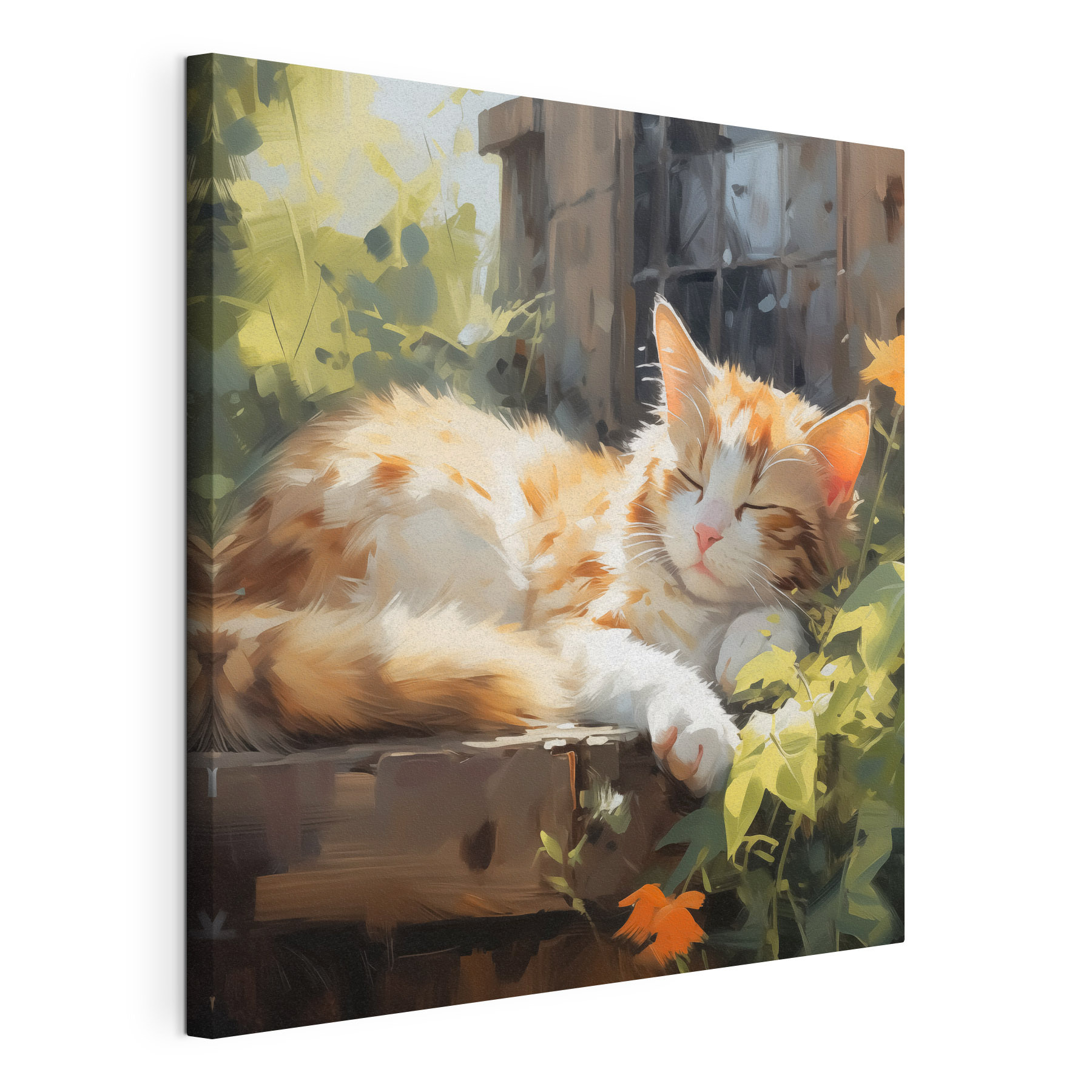 Cat lying on a ledge