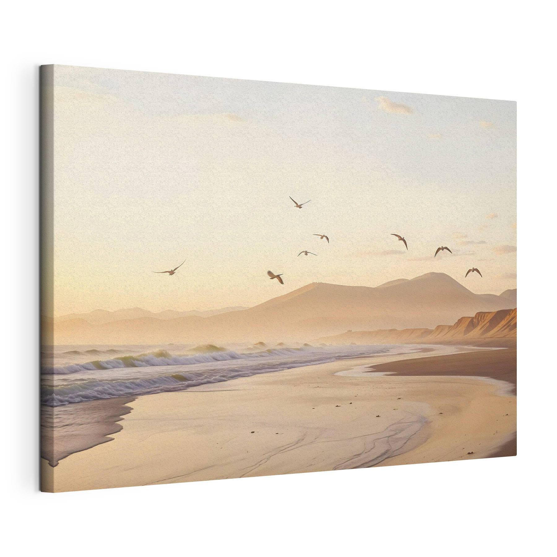 Birds flying over a beach Birds flying over a beach