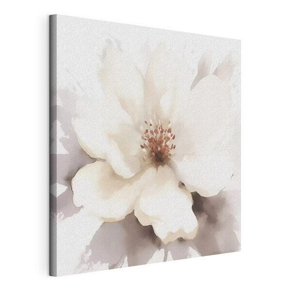 Weiße Blüte mit brauner Mitte Wandbilder Weiße Blüte mit brauner Mitte