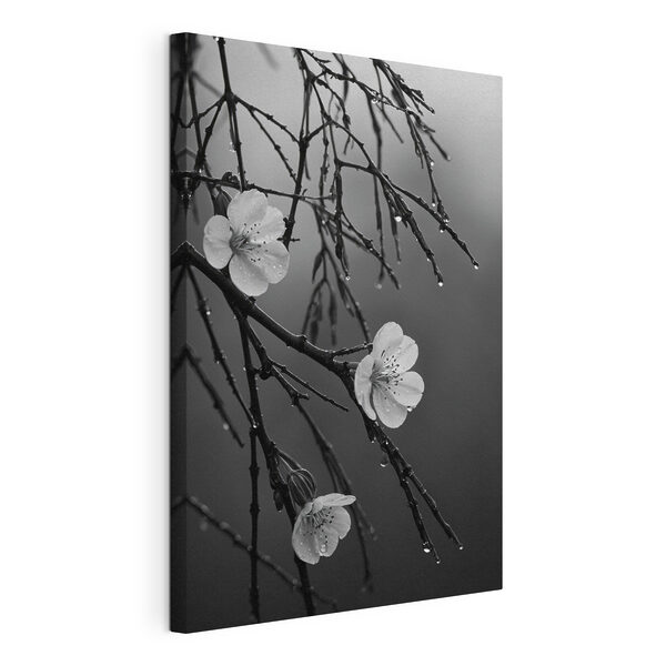 Wandbilder Wandbilder Zarte Blüten bei leichtem Regen (Artikelnummer: s44098)