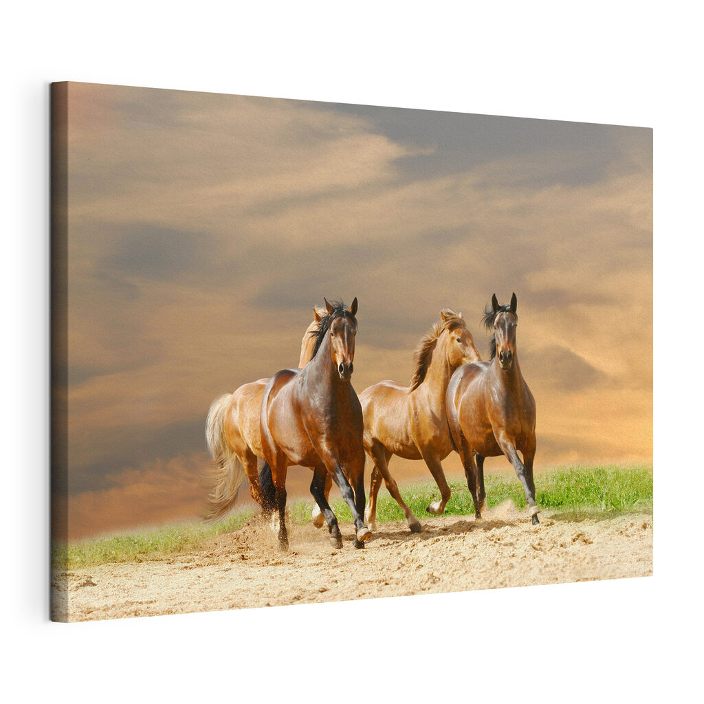 A group of horses running on a dirt road