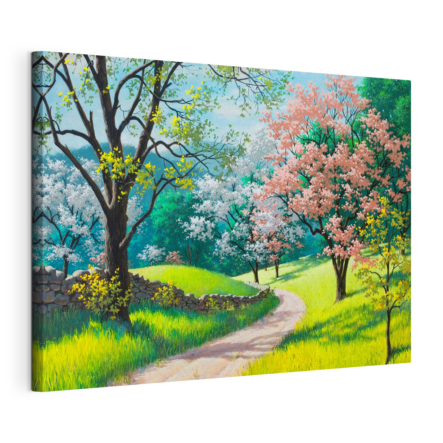 Blossoming trees along a winding path Blossoming trees along a winding path