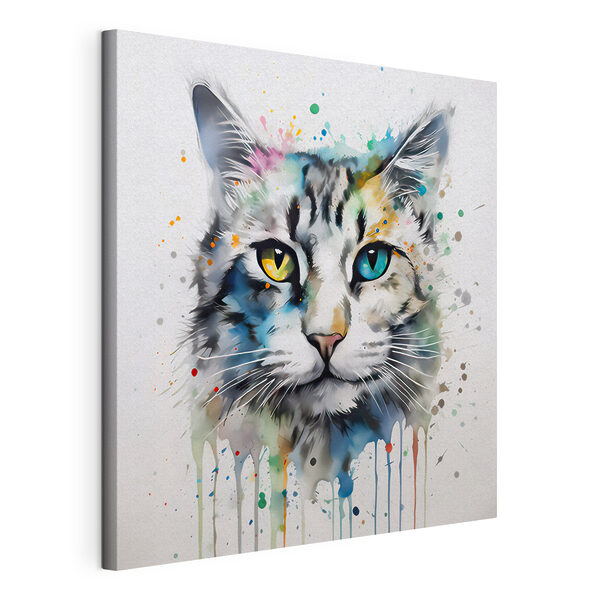 Eine Katze mit blauen Augen Wandbilder Eine Katze mit blauen Augen