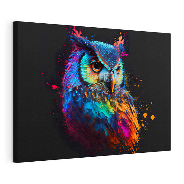 Wandbilder Eine bunte Eule mit Farbspritzern (Artikelnummer: s33551) Wandbilder Wandbilder Eine bunte Eule mit Farbspritzern (Artikelnummer: s33551)