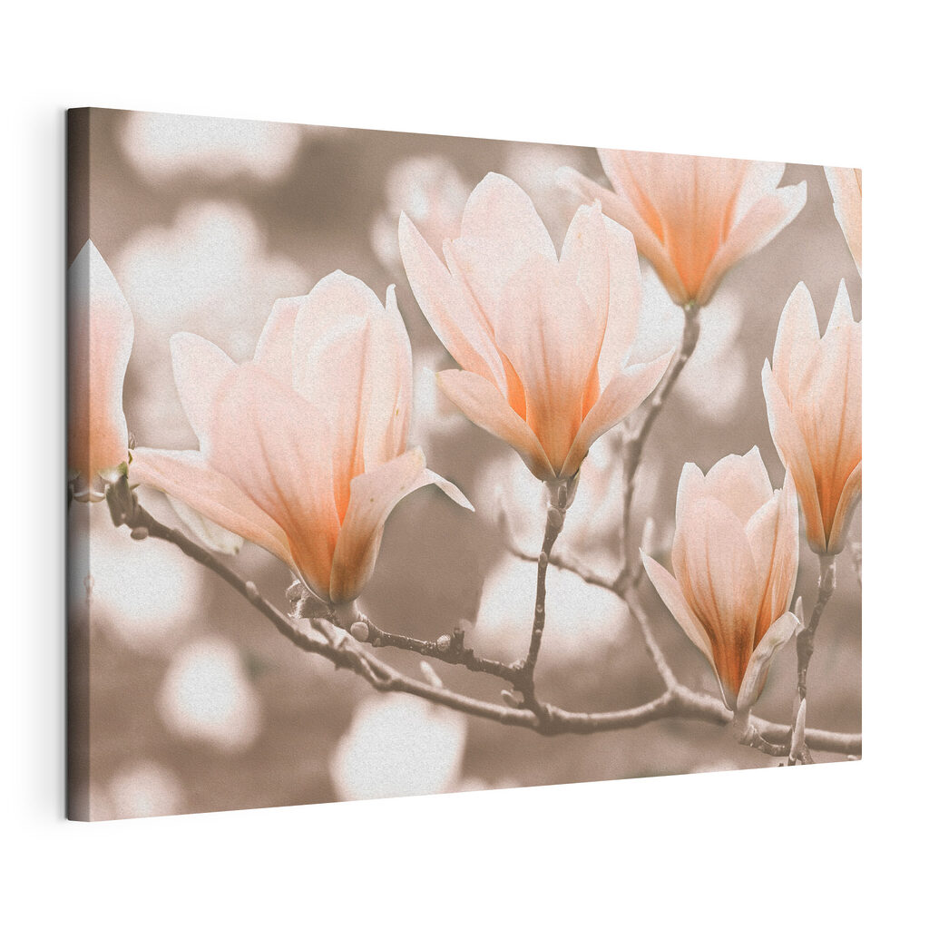 A group of flowers on a branch