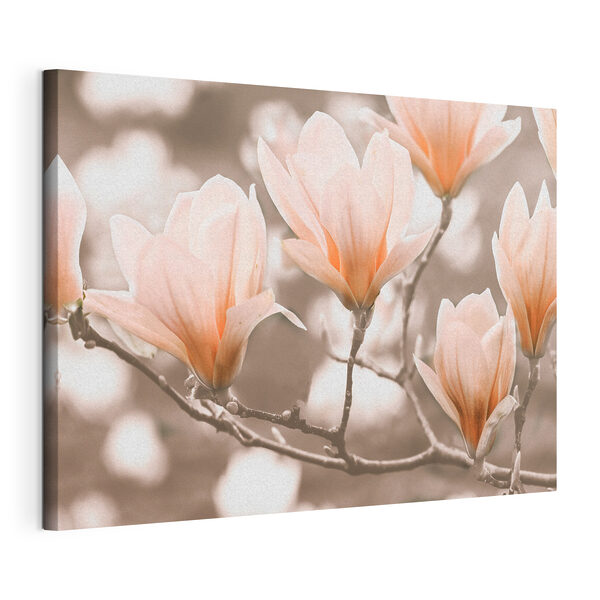 Wandbilder Wandbilder Eine Gruppe von Blumen auf einem Zweig (Artikelnummer: s35232)