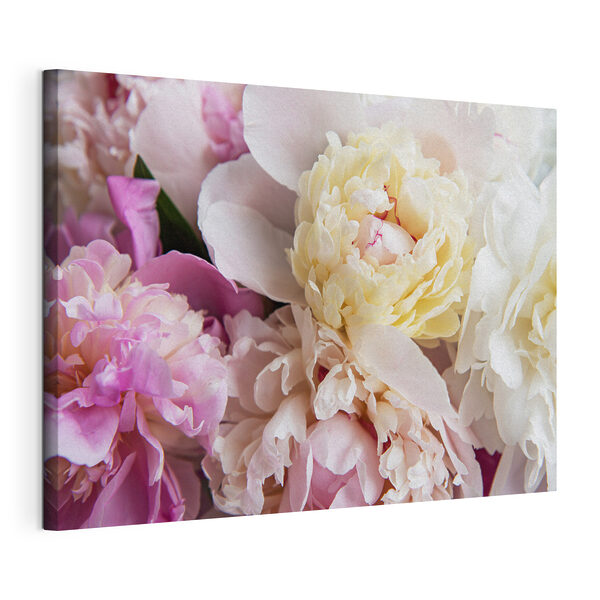 Wandbilder Zarte Blüten in sanften Pastelltönen (Artikelnummer: s35245) Wandbilder Wandbilder Zarte Blüten in sanften Pastelltönen (Artikelnummer: s35245)