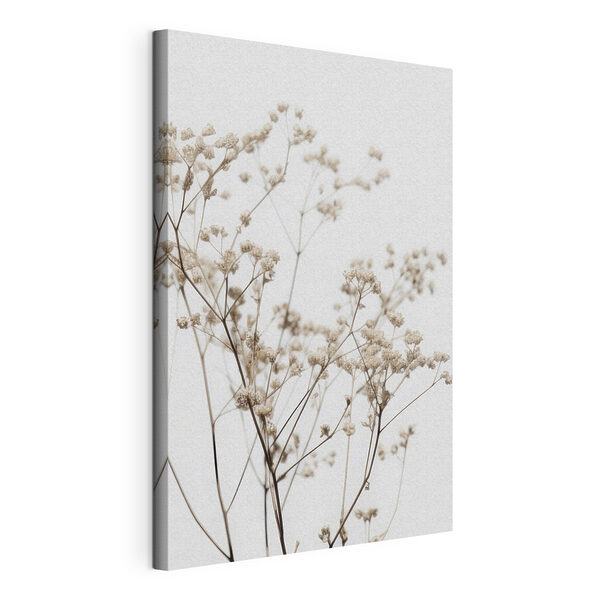 Wandbilder Zarte Trockenblumen vor weißem Hintergrund (Artikelnummer: s35606) Wandbilder Wandbilder Zarte Trockenblumen vor weißem Hintergrund (Artikelnummer: s35606)