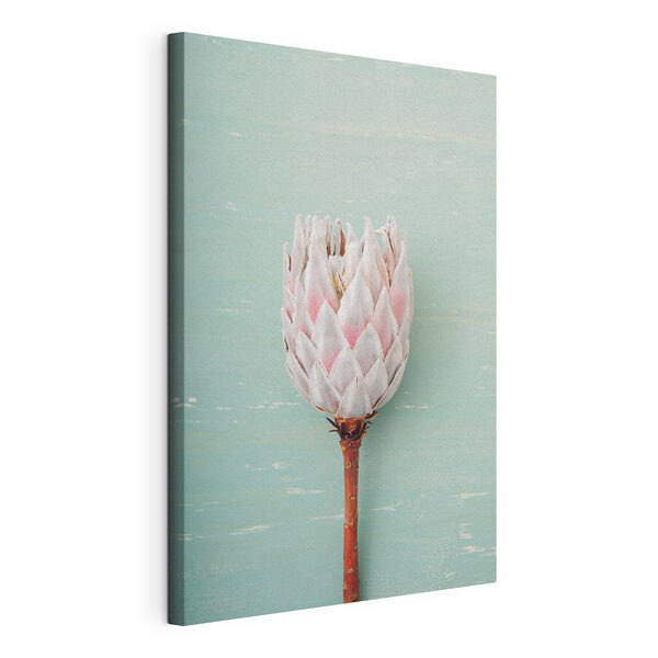 A flower on a stick A flower on a stick