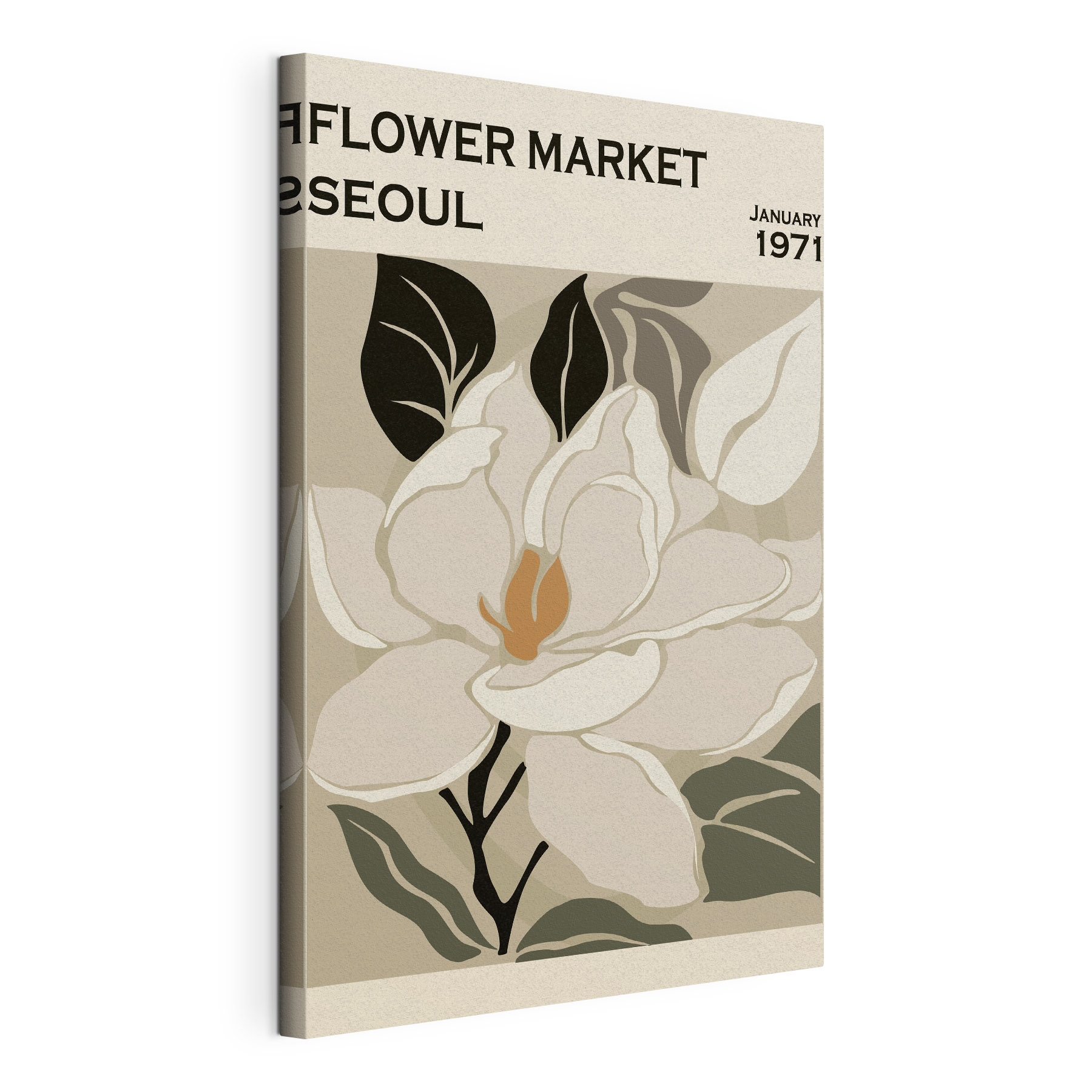 A white flower with black leaves A white flower with black leaves