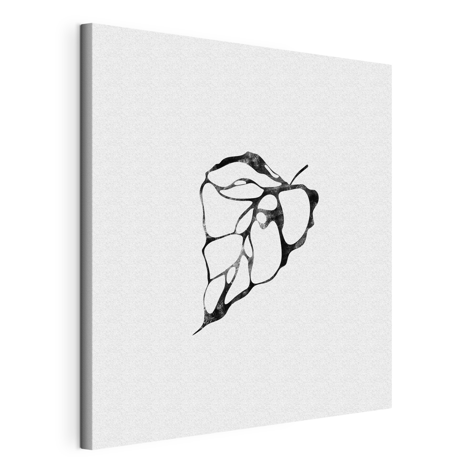 A black and white image of a leaf