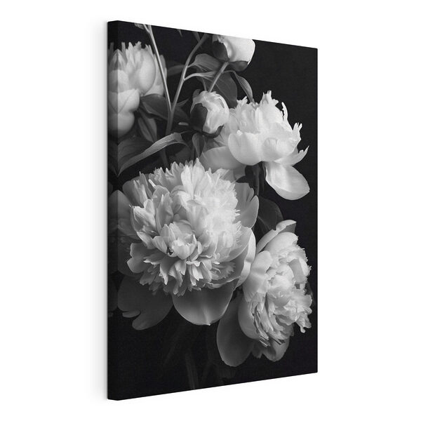 Wandbilder Gruppe von weißen Blumen