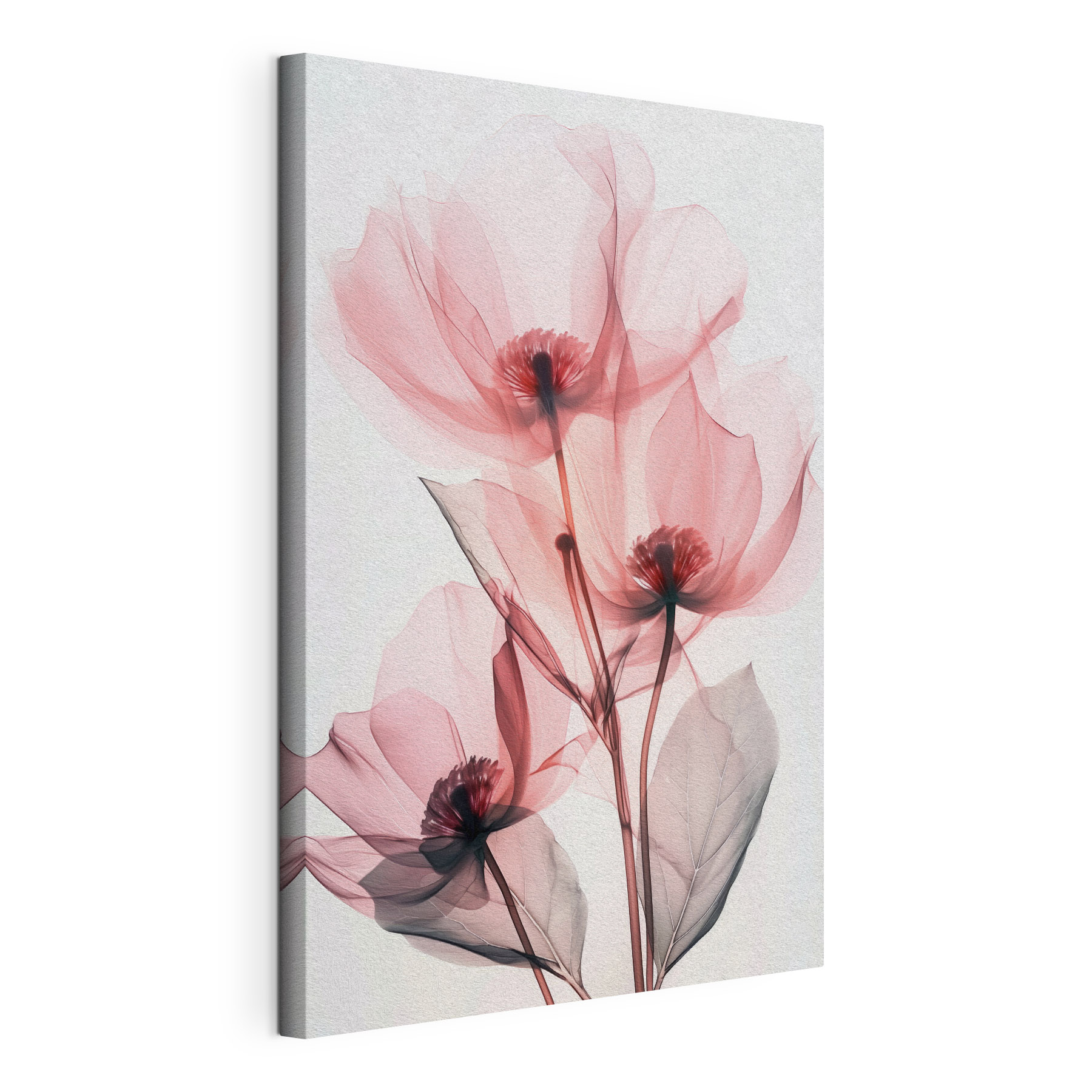 Delicate petals in soft hues
