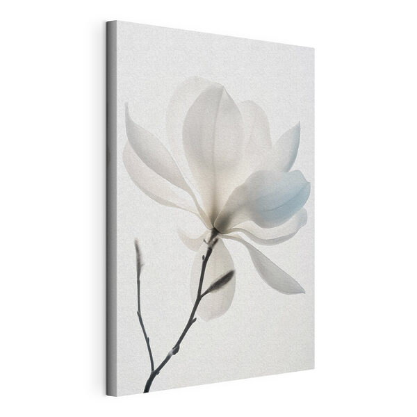Weiße Blume mit Blättern Wandbilder Weiße Blume mit Blättern