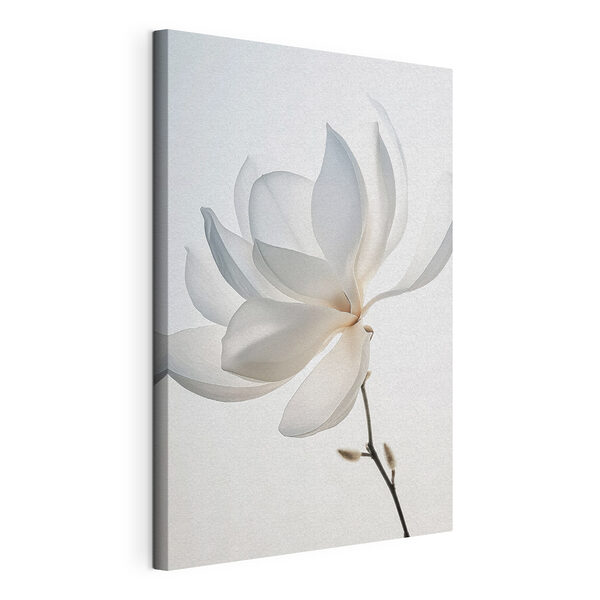 Wandbilder Weiße Blume mit Blütenblättern