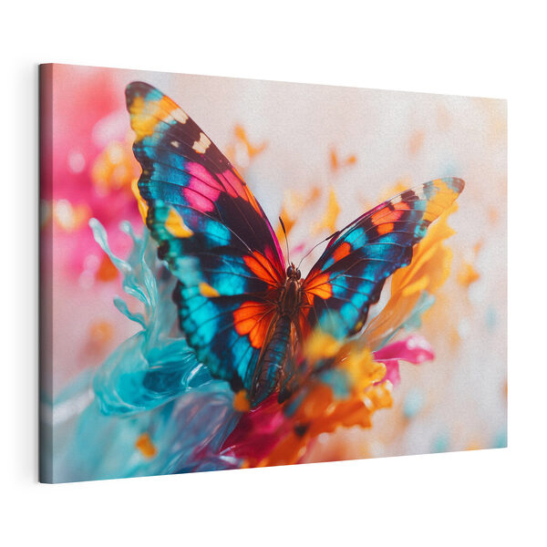 Schmetterling auf einer Blume Wandbilder Schmetterling auf einer Blume