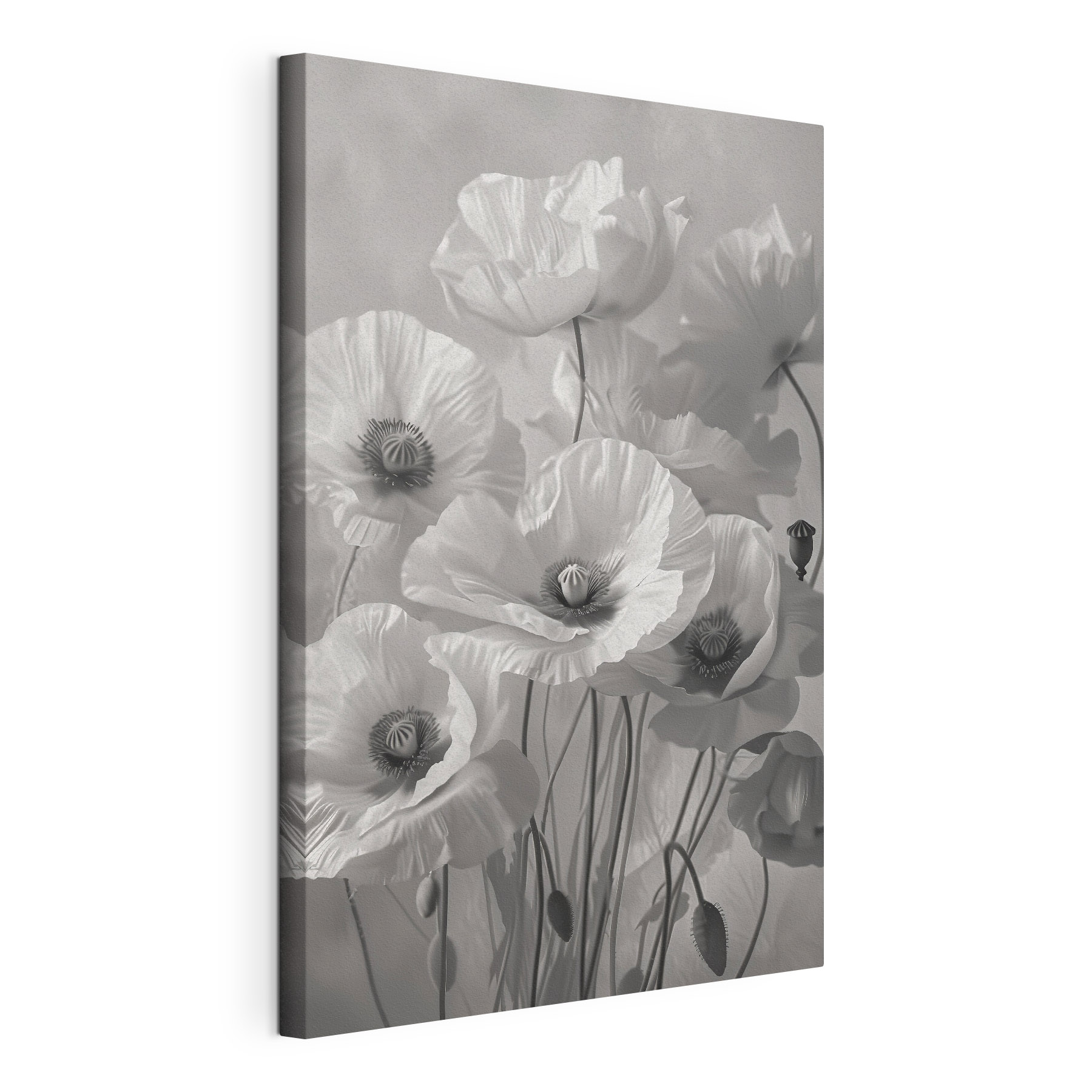 Group of white flowers Group of white flowers