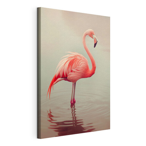 Flamingo im Wasser stehend Wandbilder Flamingo im Wasser stehend