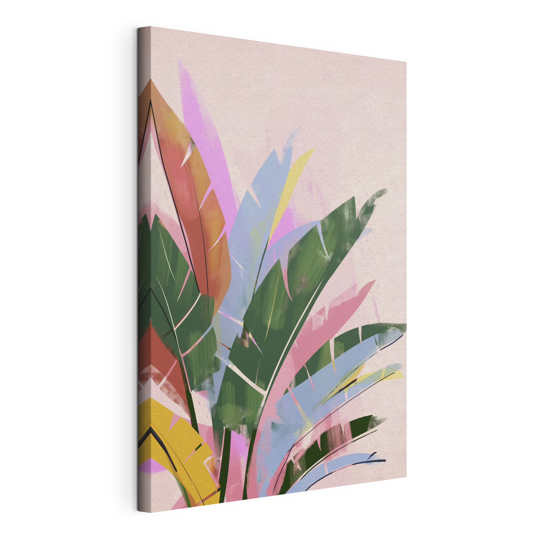 Colorful leaves on a white background