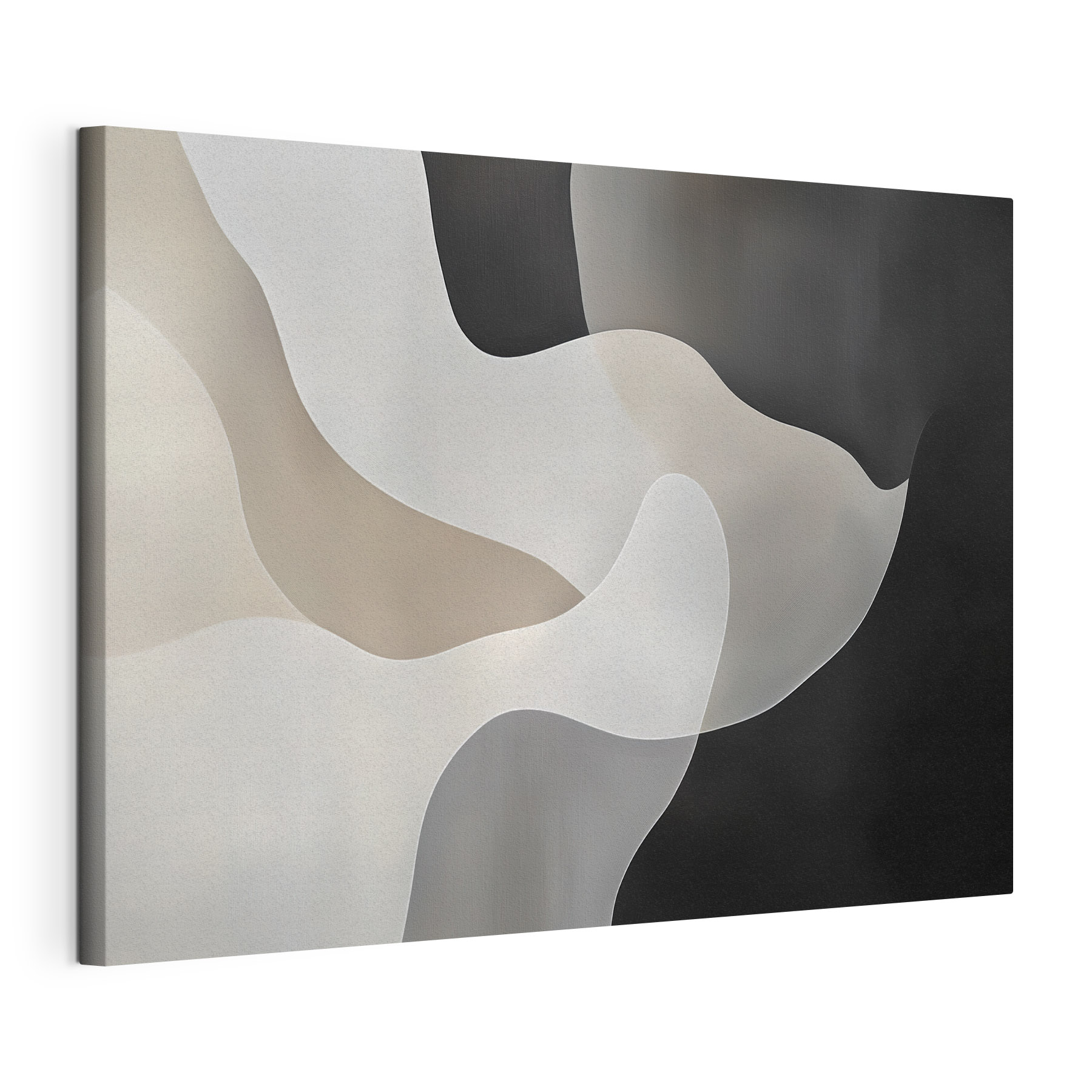 Black and white background with white and grey shapes