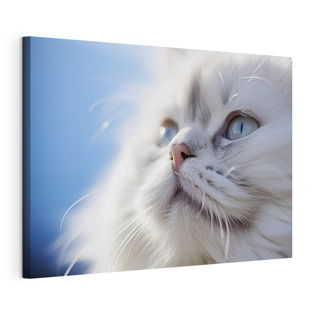 Feline grace under bright skies