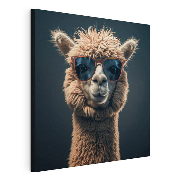Wandbilder Wandbilder Lama mit Sonnenbrille (Artikelnummer: s40995)
