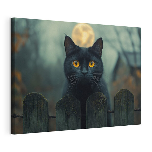 Schwarze Katze mit gelben Augen hinter einem Zaun Wandbilder Schwarze Katze mit gelben Augen hinter einem Zaun