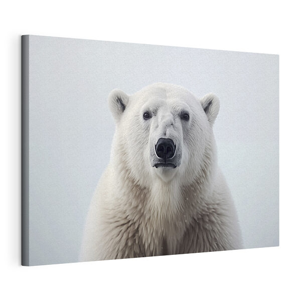 Eisbär schaut in die Kamera Wandbilder Eisbär schaut in die Kamera