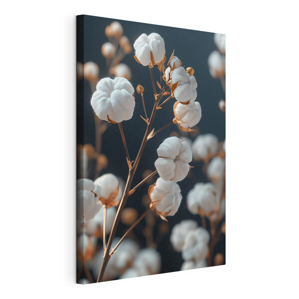 Zarte Baumwollblüten in der Auslage Wandbilder Zarte Baumwollblüten in der Auslage